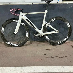 언노운 펄스2024(브레이크 있음) 노먹노크 급처 이미지