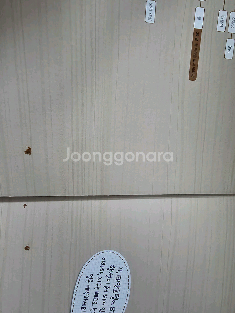 과학도깨비 아람--2