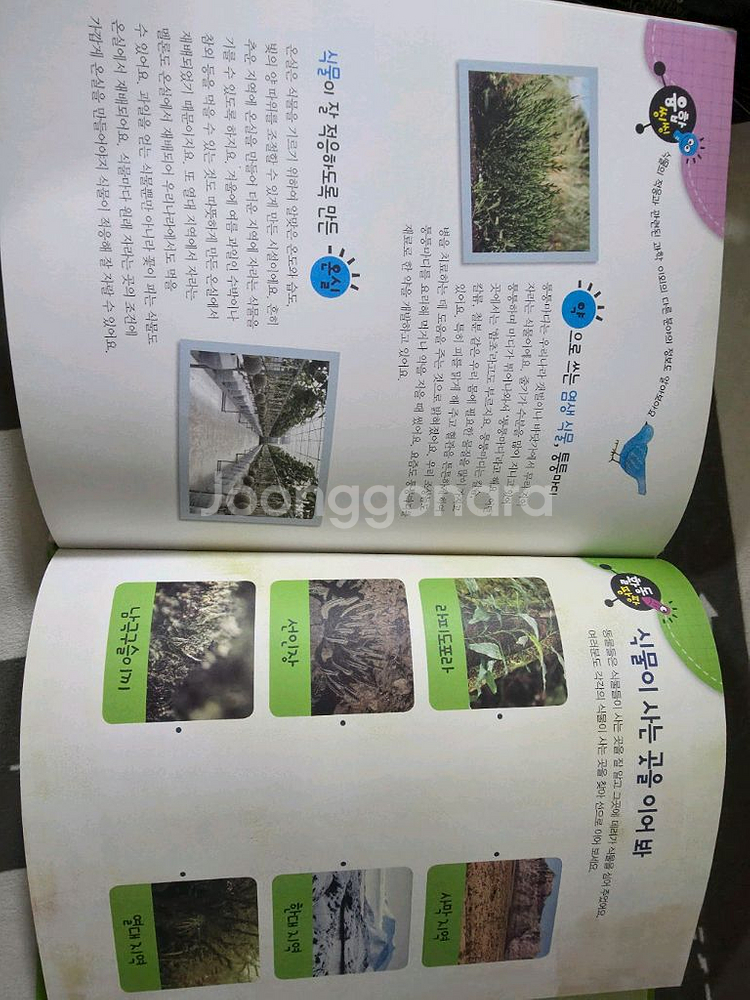 과학도깨비 아람--4