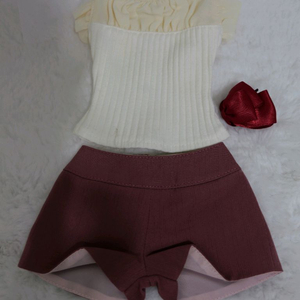 돌피드림 의상 이미지