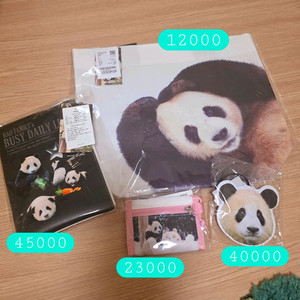 바오패밀리 (쇼퍼백, 가죽파우치, 네임택, 지갑)