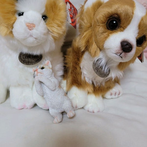 고양이 강아지 인형 새상품