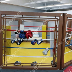 옥타곤 케이지 복싱링 mma