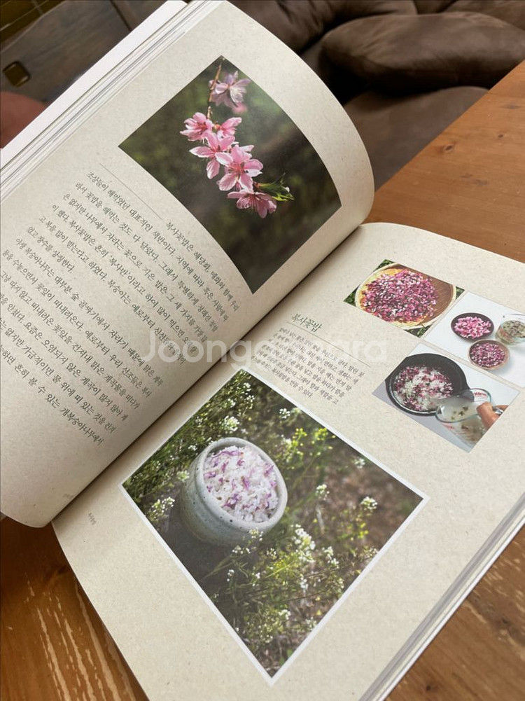 엄마의 꽃밥 - 이상권--5