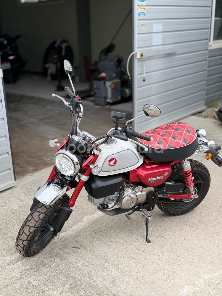 23년식 혼다 몽키 125cc 오토바이(레드)--0