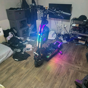 위페드93텐 듀얼 전동 킥보드