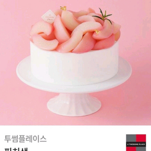 투썸플레이스 피치생 기프티콘