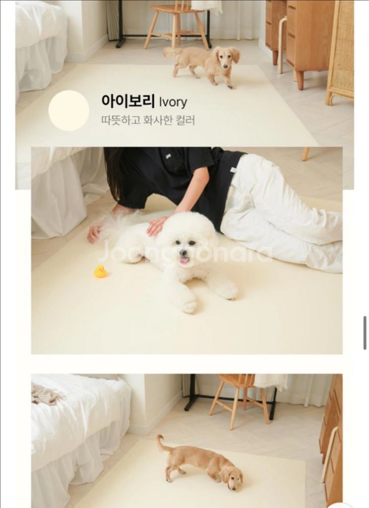 강아지 매트-실리어스 푸우형 매트--1