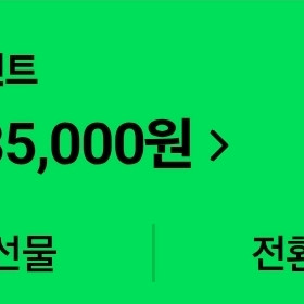 네이버페이 포인트 28.5만원