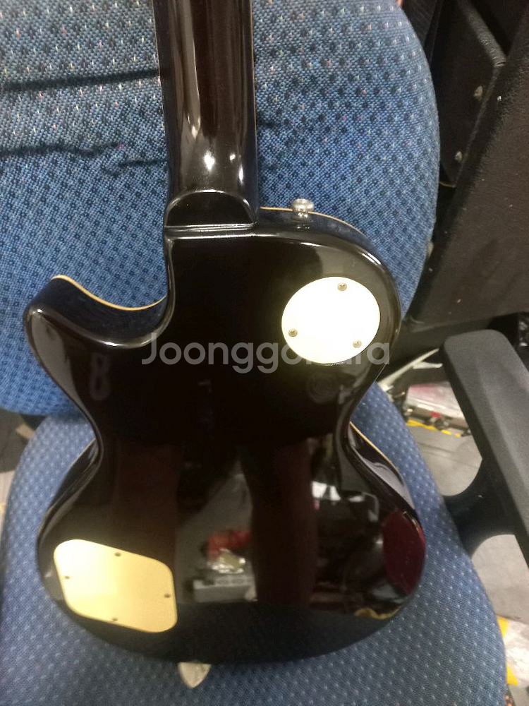 데임 레스폴 일렉기타--5