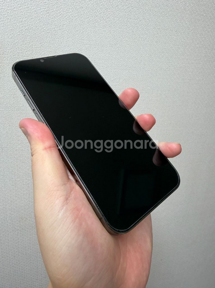 아이폰 13 프로맥스 그래파이트 256GB+정품케이스--1