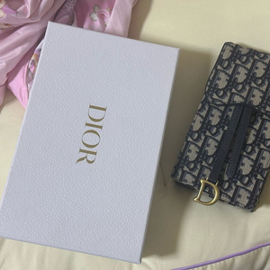 디올 오블리크 폰 홀더백