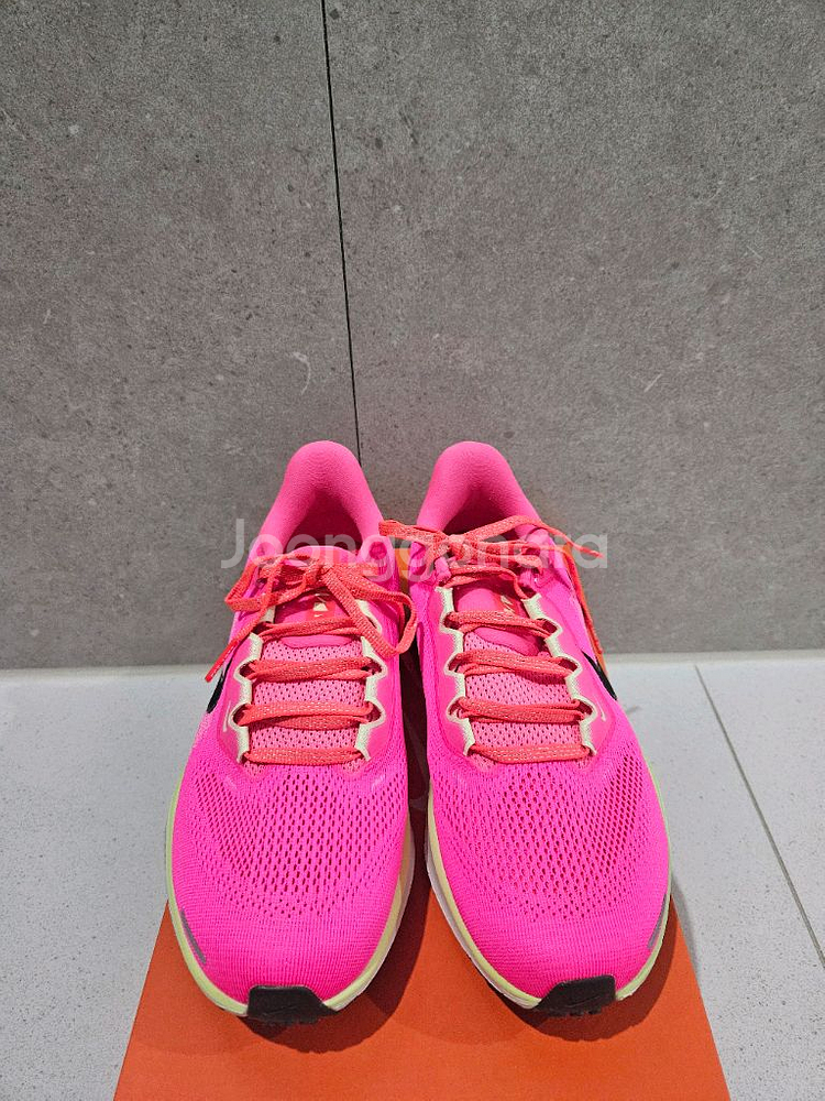나이키 페가수스41--1