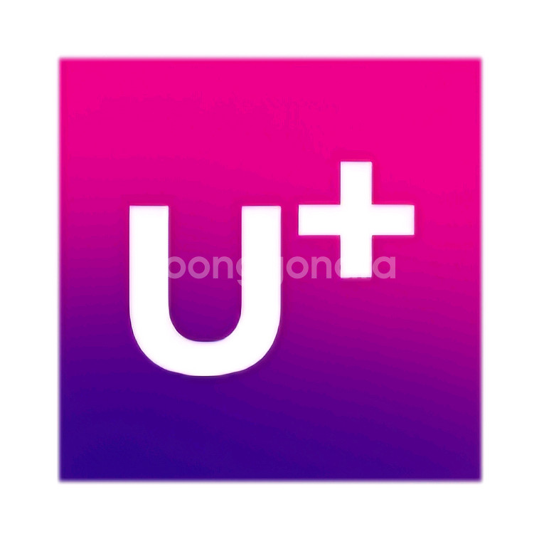 유플러스 데이터 2기가 2천원--0