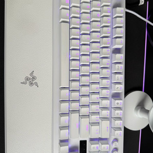 레이저 헌츠맨v3 pro 화이트 tkl