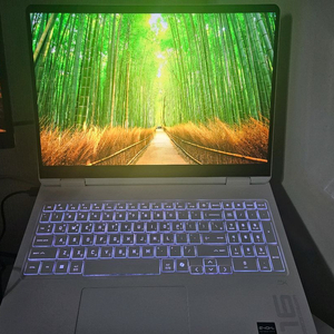 hp노트북 오멘16 rtx5060 쿠팡케어5년 직거래