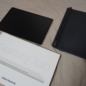 갤럭시탭 S9 256GB 5G 모델
