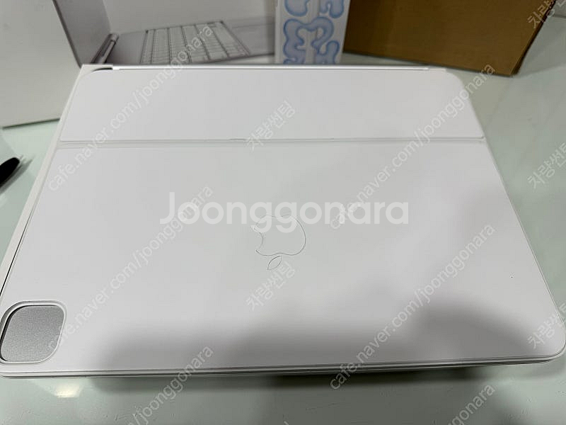 아이패드 프로7세대 M4 13인치 셀룰러(애케플)--6