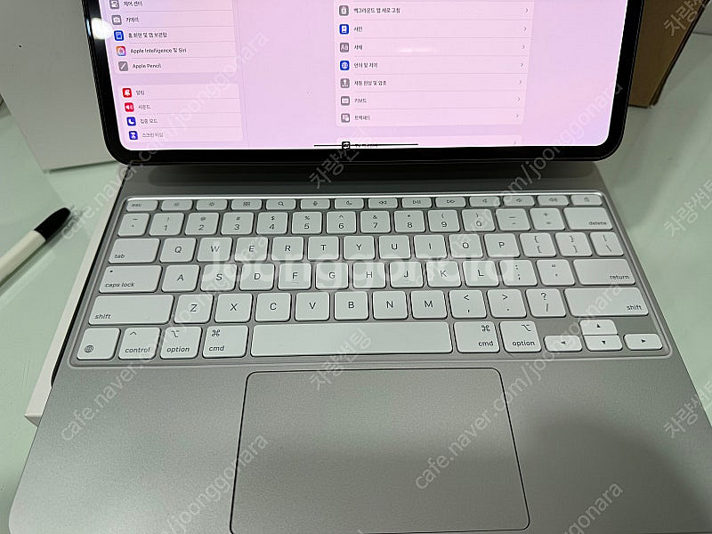 아이패드 프로7세대 M4 13인치 셀룰러(애케플)--7