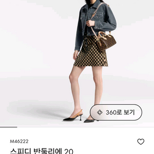 루이비통 스피디20