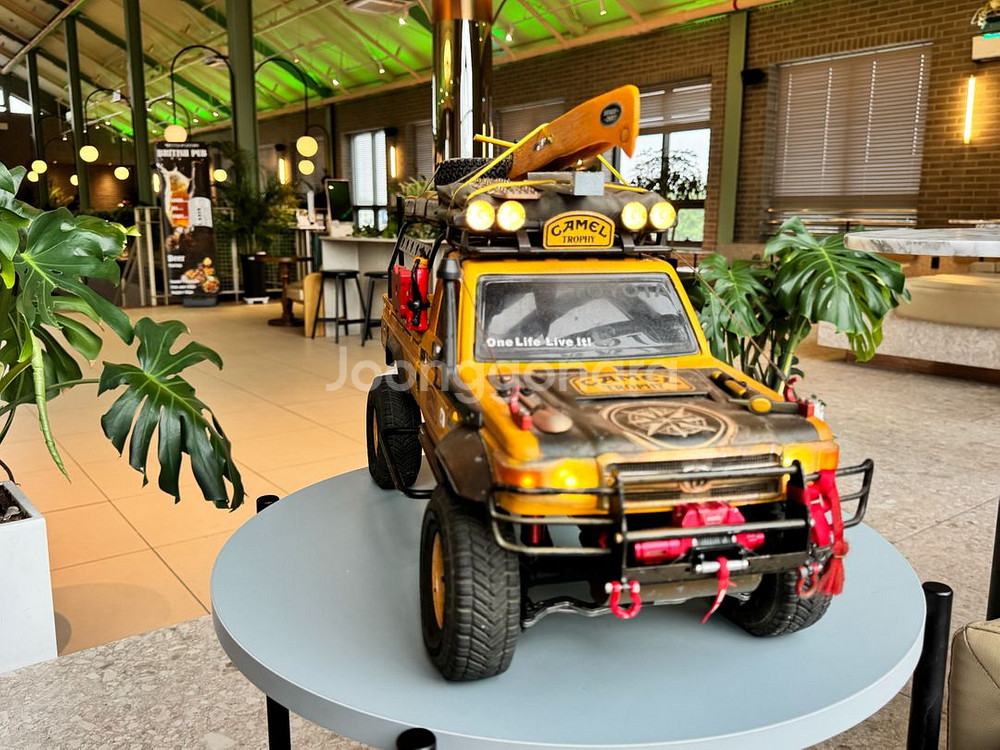 소백이 차체 카멜트로피--3