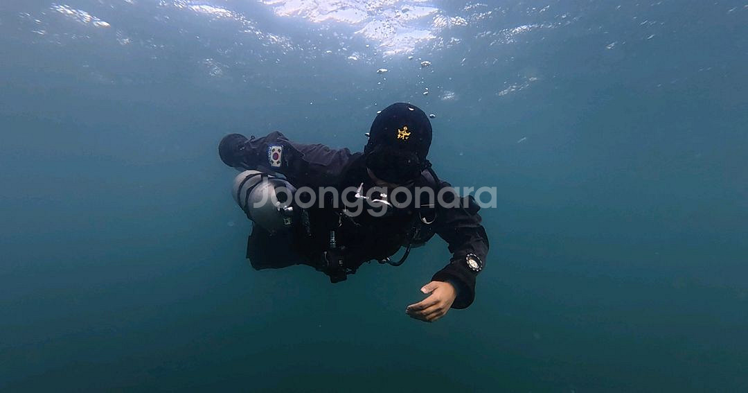트라이온 블루스톤 플러스 드라이슈트 판매--9