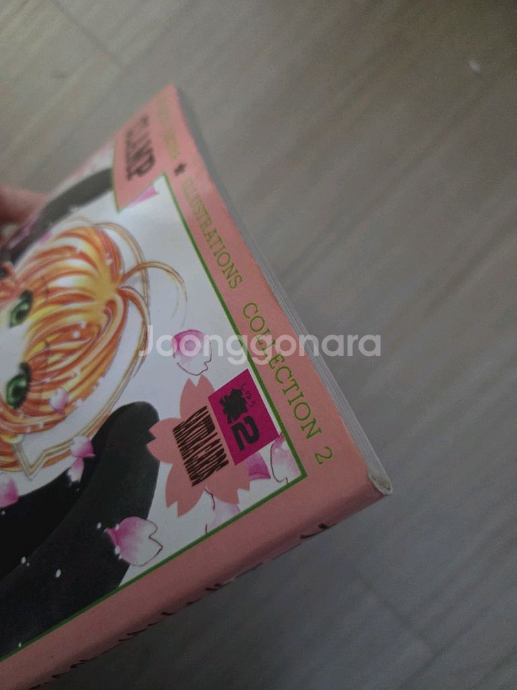 카드캡터체리/쵸비츠/마법기사레이어스(클램프)화보집--1