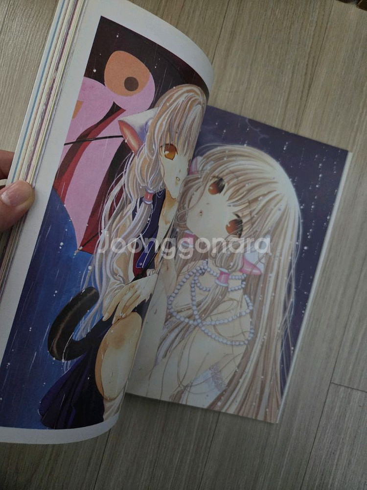 카드캡터체리/쵸비츠/마법기사레이어스(클램프)화보집--6