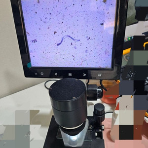 피부현미경 이미지