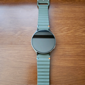 갤럭시워치7 44mm(LTE)