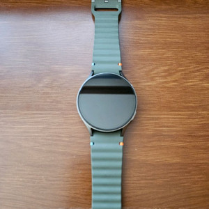 갤럭시워치7 44mm(LTE)