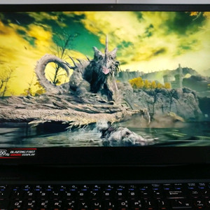 MSI GP76 17.3인치 게이밍/램32,3080