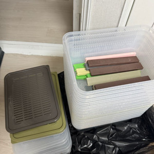 파충류 사육장 락사 중통