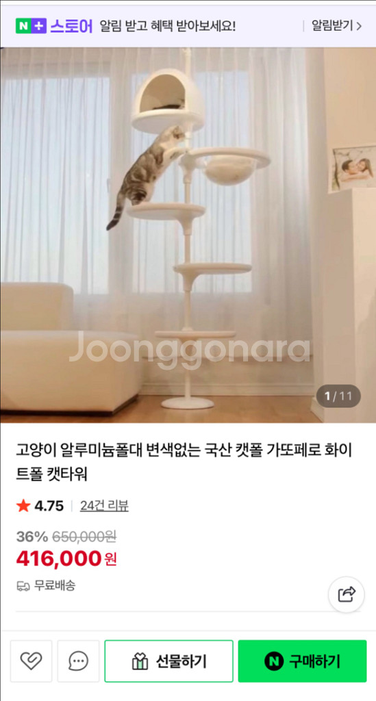 가또페로 캣폴--0