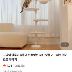 가또페로 캣폴