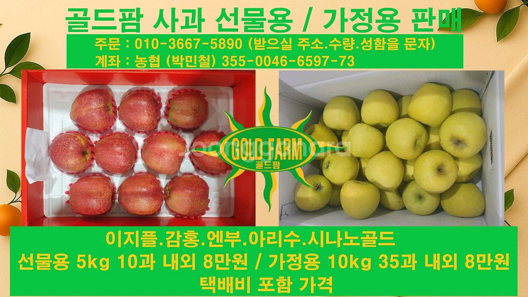 골드팜 사과 선물용,가정용 판매--0