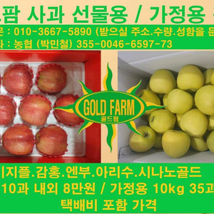 골드팜 사과 선물용,가정용 판매