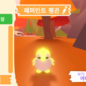 입양하세요 펫 메가네온 페퍼민트 펭귄(메페펭) 팝니다
