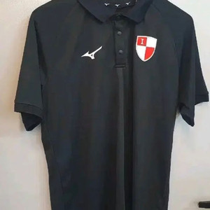 미즈노 아이파크 카라반팔 XL택채새옷