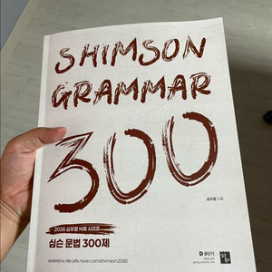 심슨 문법 300제