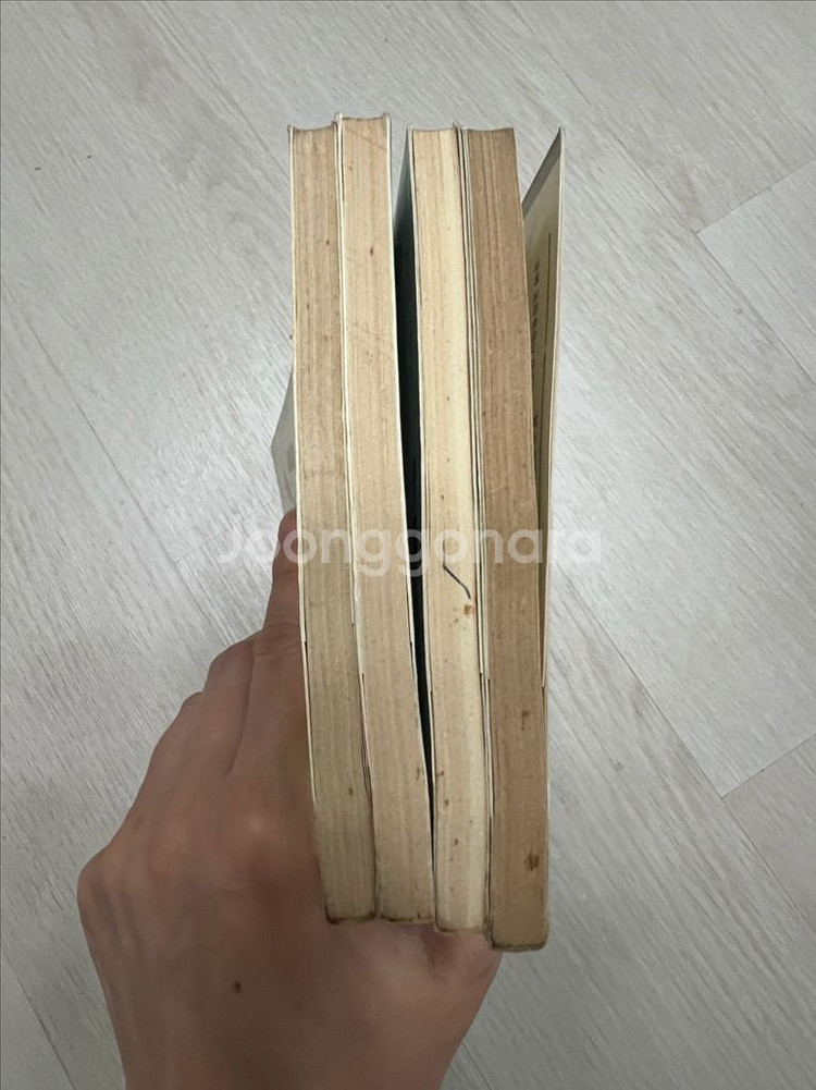 슬픈 우리 젊은 날 1, 2, 3, 4--5