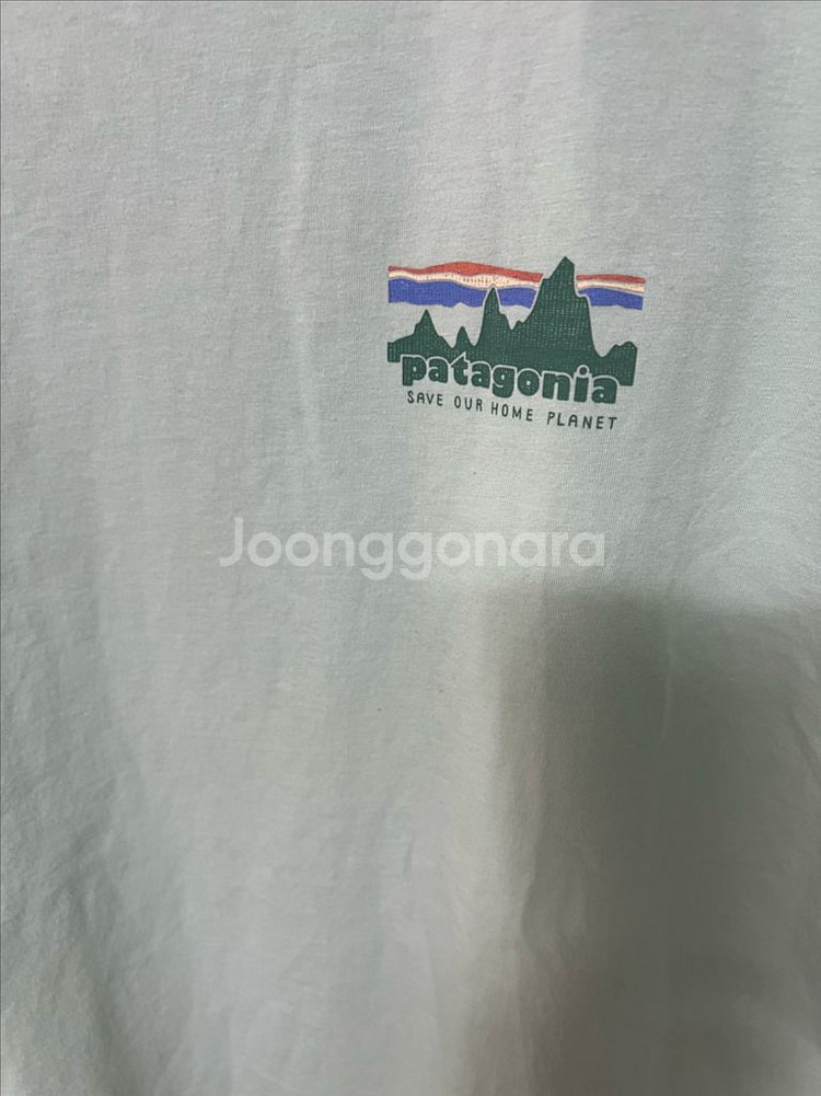 파타고니아 반팔티--3