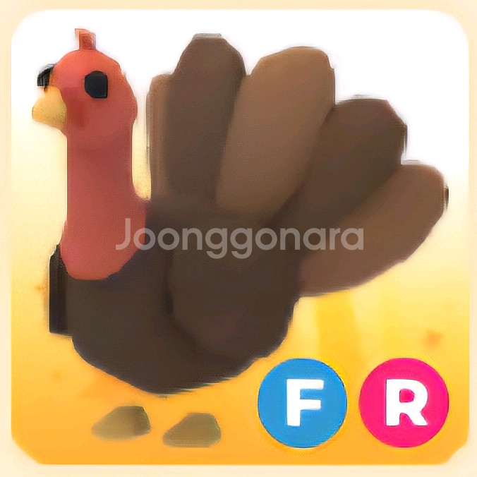 입양하세요 FR 칠면조--0