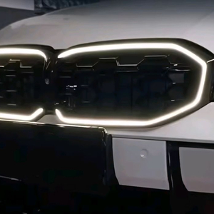 BMW G20 G30 G60 아이코닉글로우 그릴