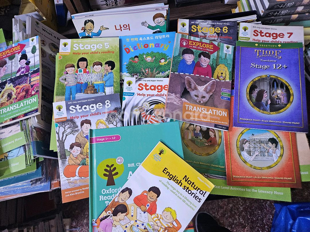 옥스포드 리딩트리 600권 이상 구성 펜포함 최상--8