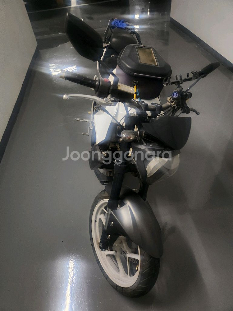 엑시브250n(14년식)--1