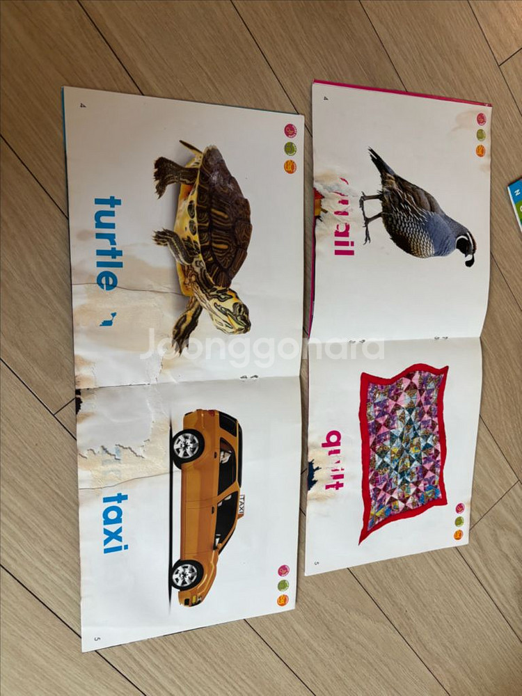 스콜라스틱 영어 리더스 세트, 알파벳리더스--4