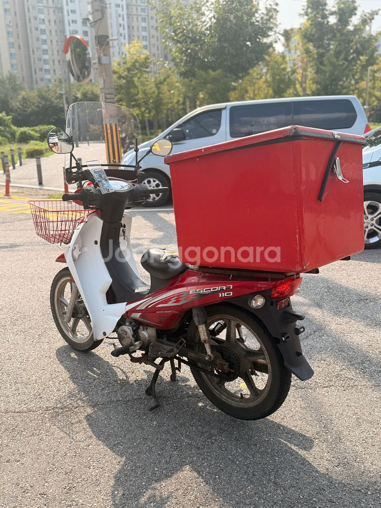 에스코트110--5