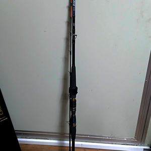 다이와 낚시대 검기 100-200mt팝니다