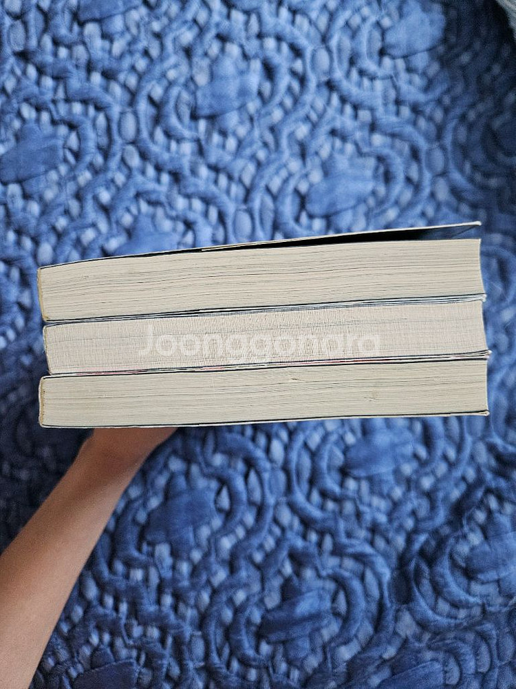 진중권-미학 오디세이 1,2,3권 세트--2